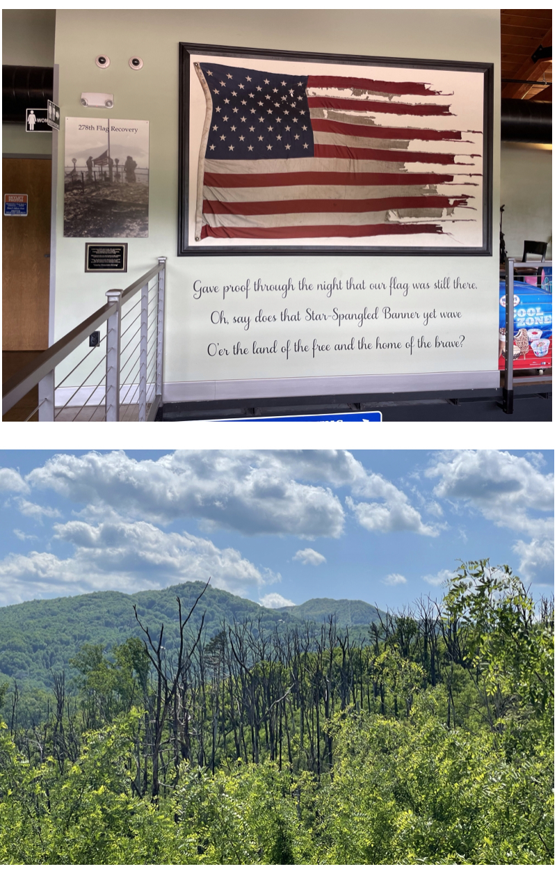 Reminders of the 2016 wildfire that hit Gatlinburg.  Photos taken by and the property of FourWalls.