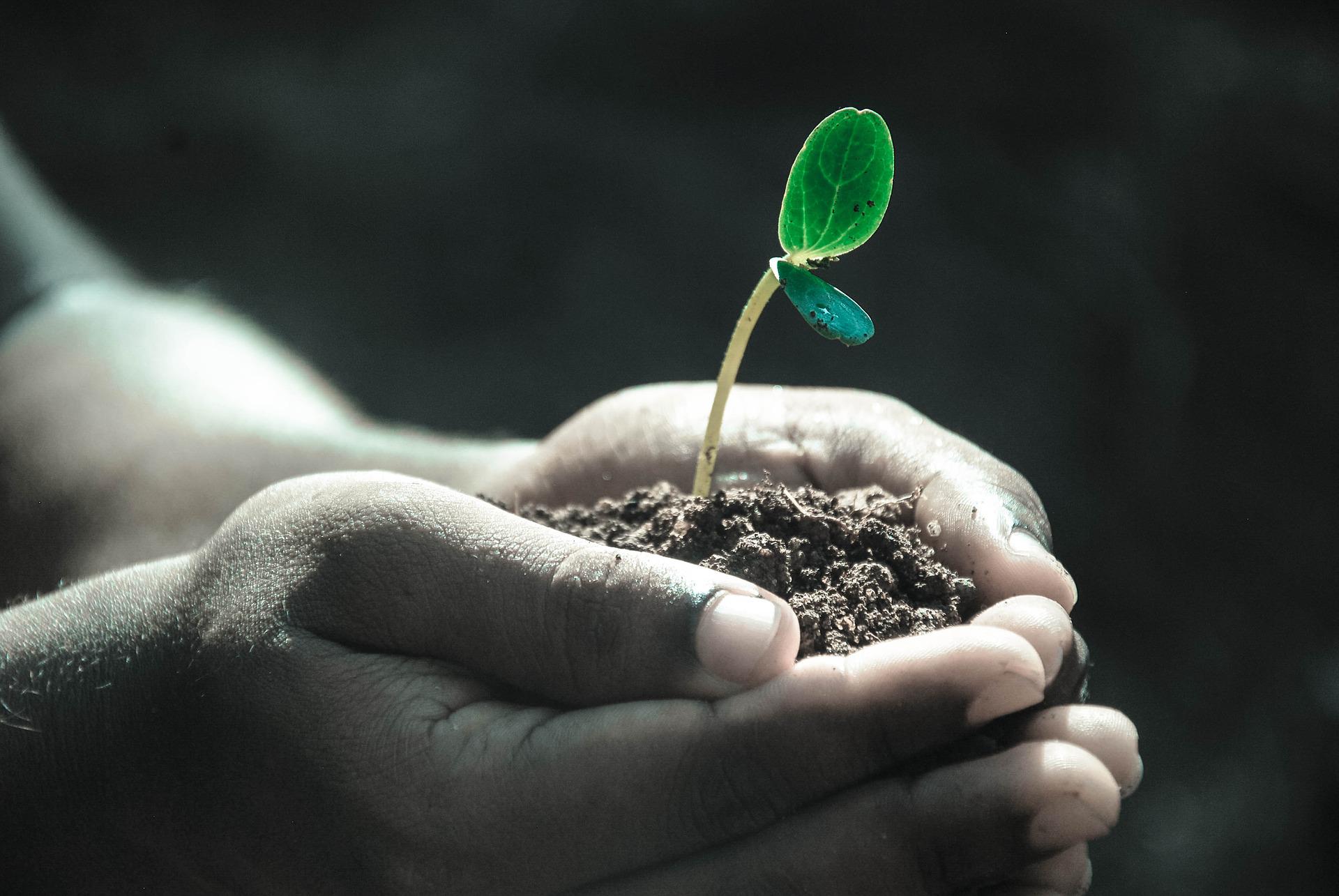 How we live our own lives is always in our own hands How we live our own lives is always in our own hands