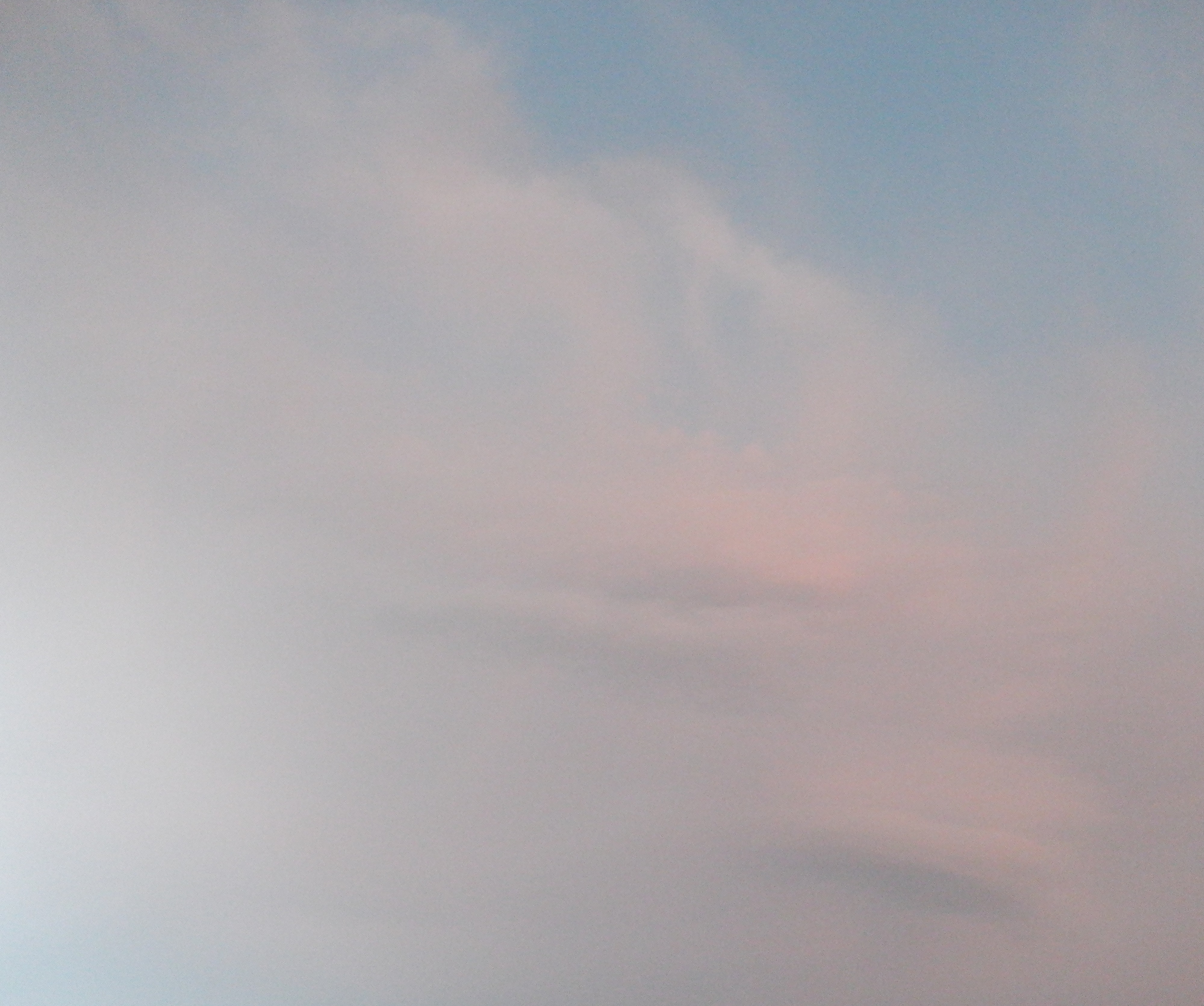 Photo taken by me 5-15-22 Photo taken by me 5-15-22