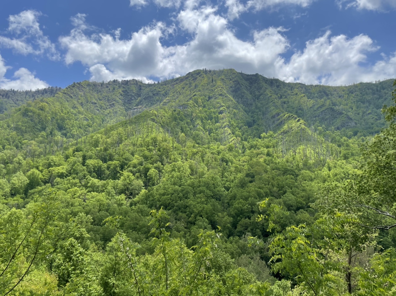 The beauty of the Smoky Mountains. Photo taken by and the property of FourWalls. The beauty of the Smoky Mountains. Photo taken by and the property of FourWalls.