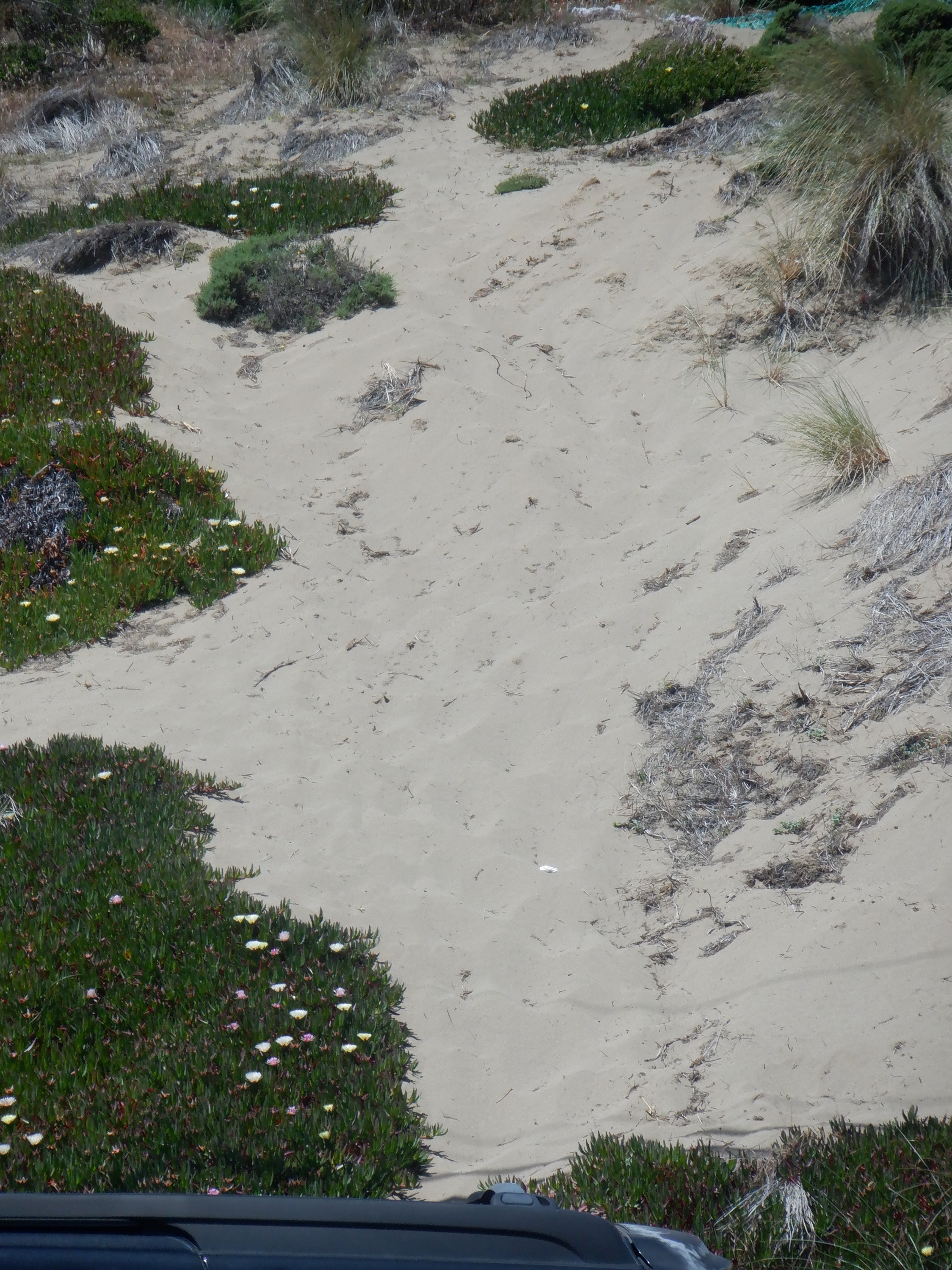 One of the photos I took out on the coast. One of the photos I took out on the coast.