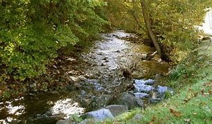 A creek in Sylva North Carolina where a police officer rescue a boy who needed his help.