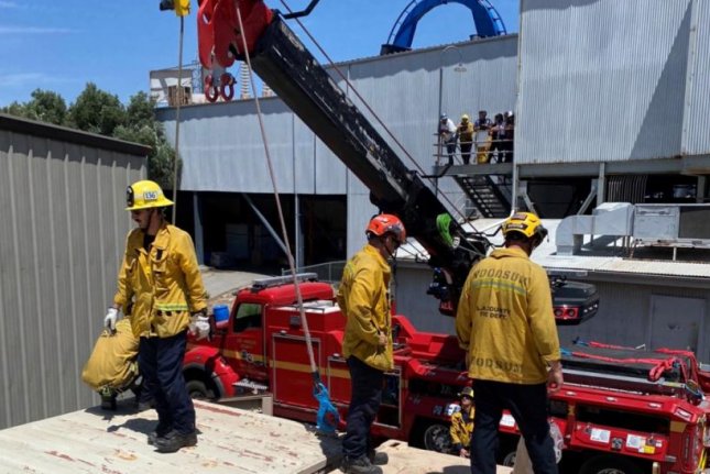 A bear being rescued by firefighters in California A bear being rescued by firefighters in California