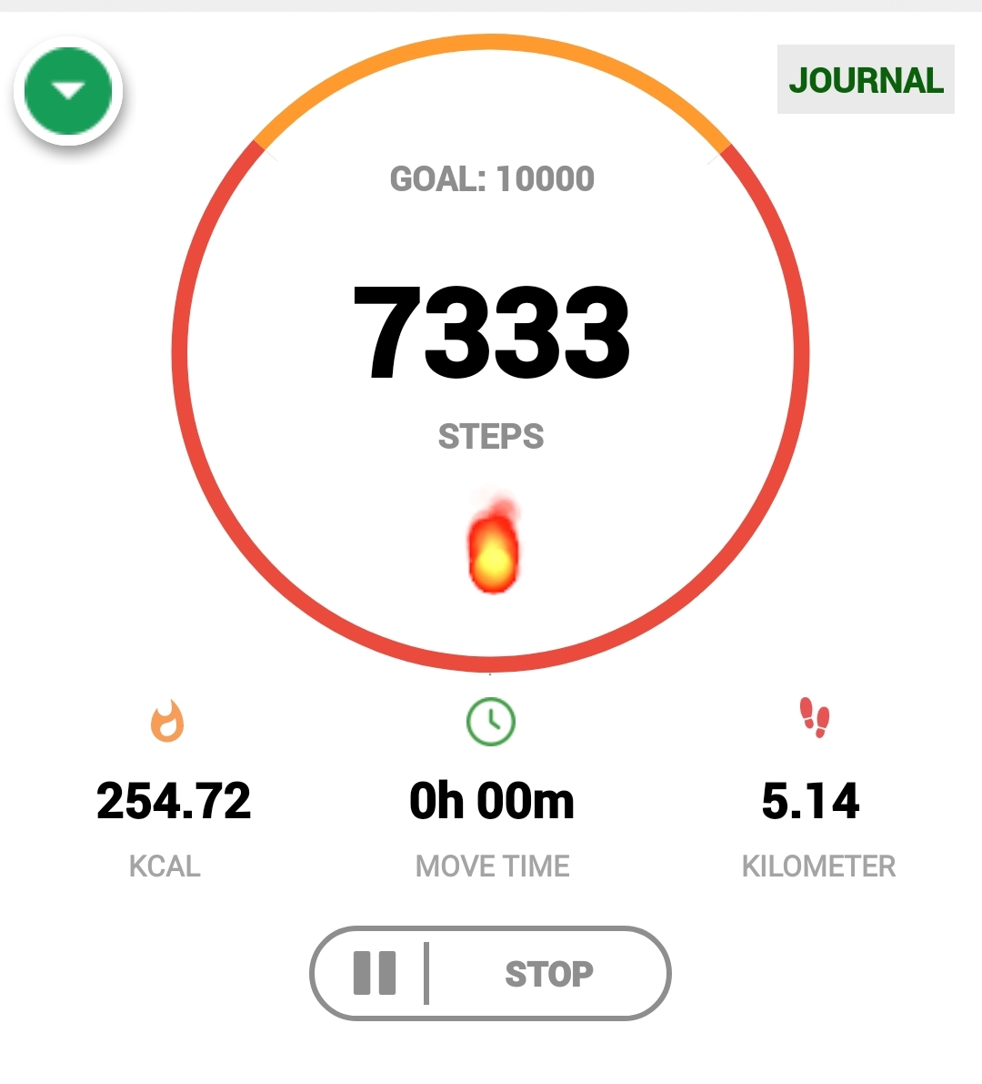 Walking record 