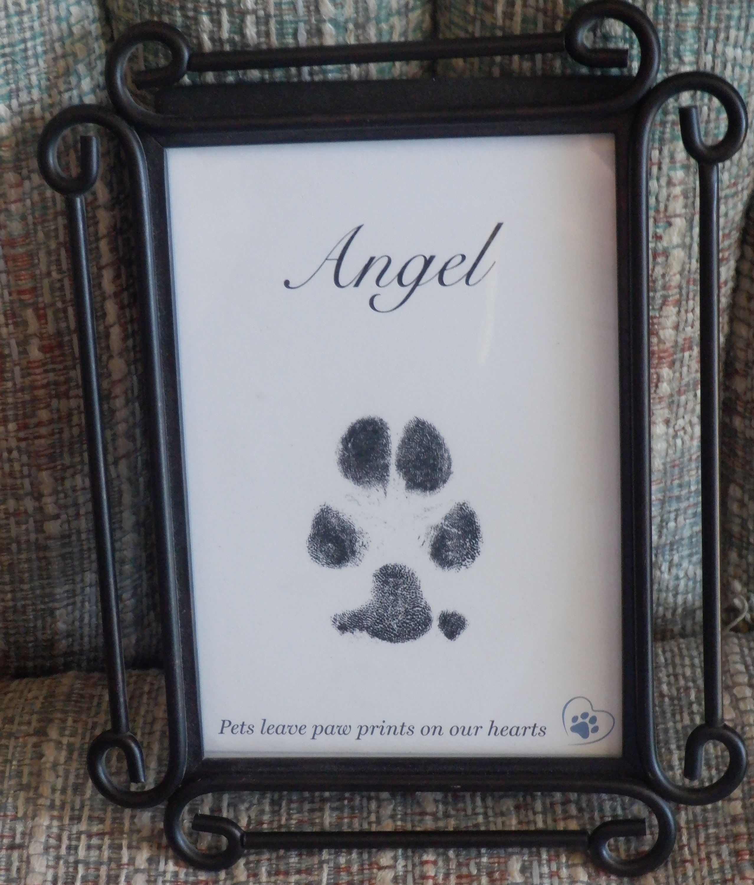 Photo I took of Angel's paw print in a frame Photo I took of Angel's paw print in a frame