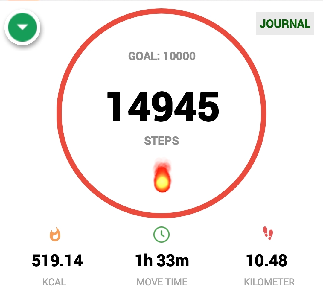 Walking exercise record Walking exercise record