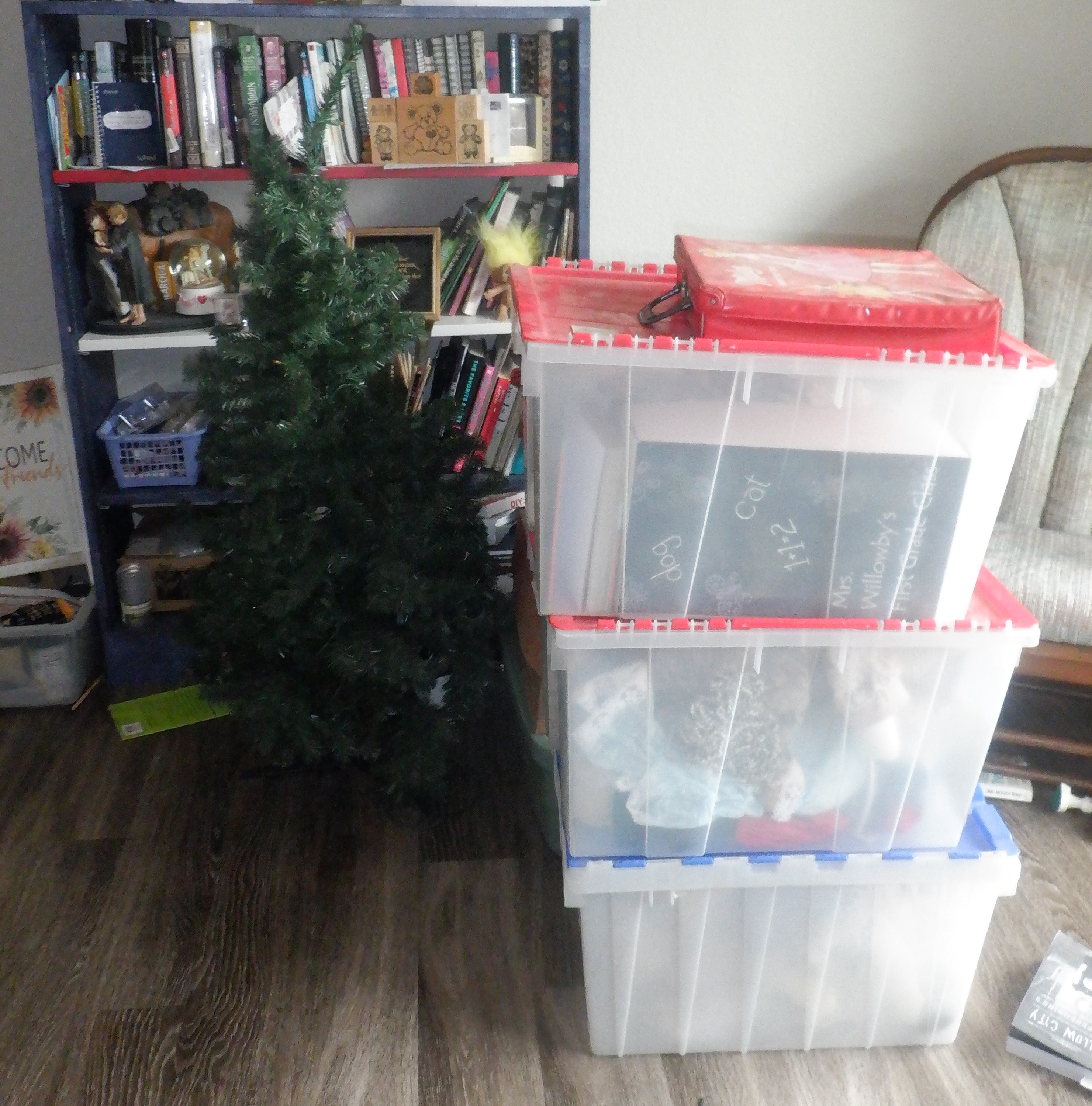Photo I took of the boxes and Christmas Tree my brother brought over Photo I took of the boxes and Christmas Tree my brother brought over