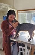 A female cat who lives in Haverhill reunites with her lost cat Gigi after 4 years.