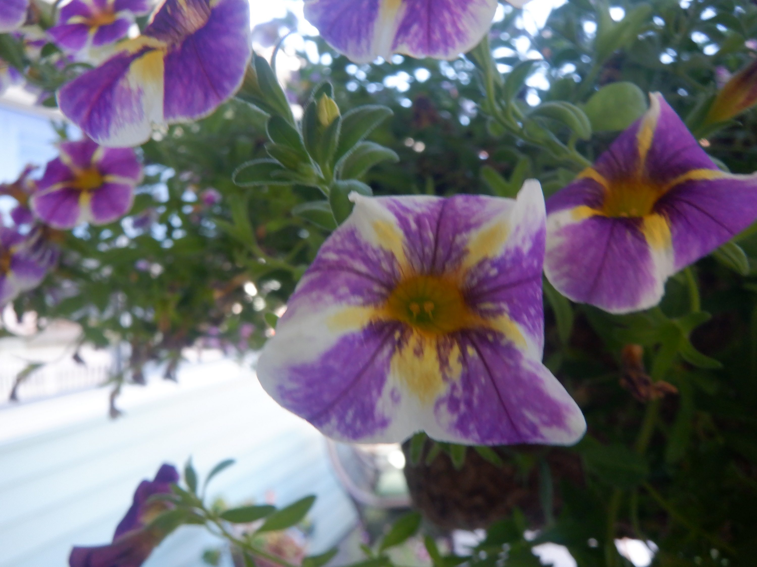 Photo taken by me