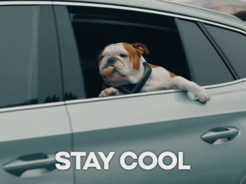Stay Cool gif 