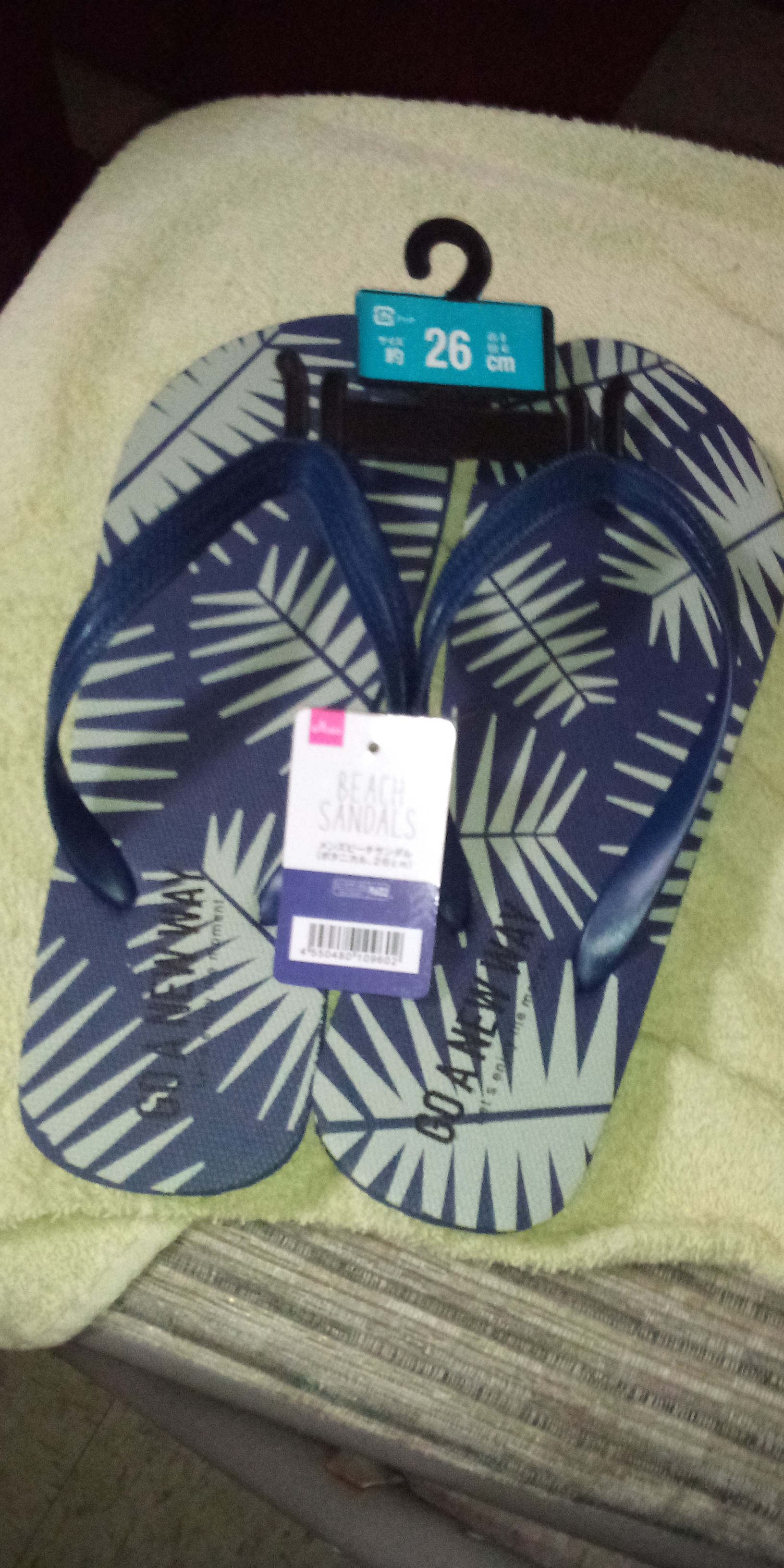 My Daiso 1.50 rubber flip flops.