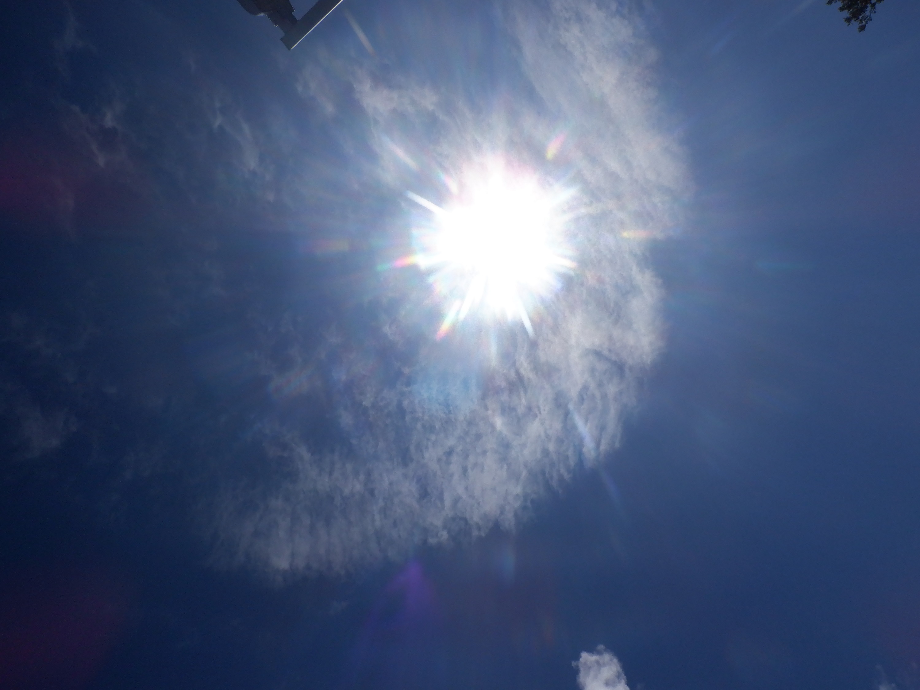 Photo taken by me 6-17-22 Photo taken by me 6-17-22