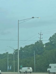 Raccoon uses his ability to come down from a light pole in Kentucky. Raccoon uses his ability to come down from a light pole in Kentucky.