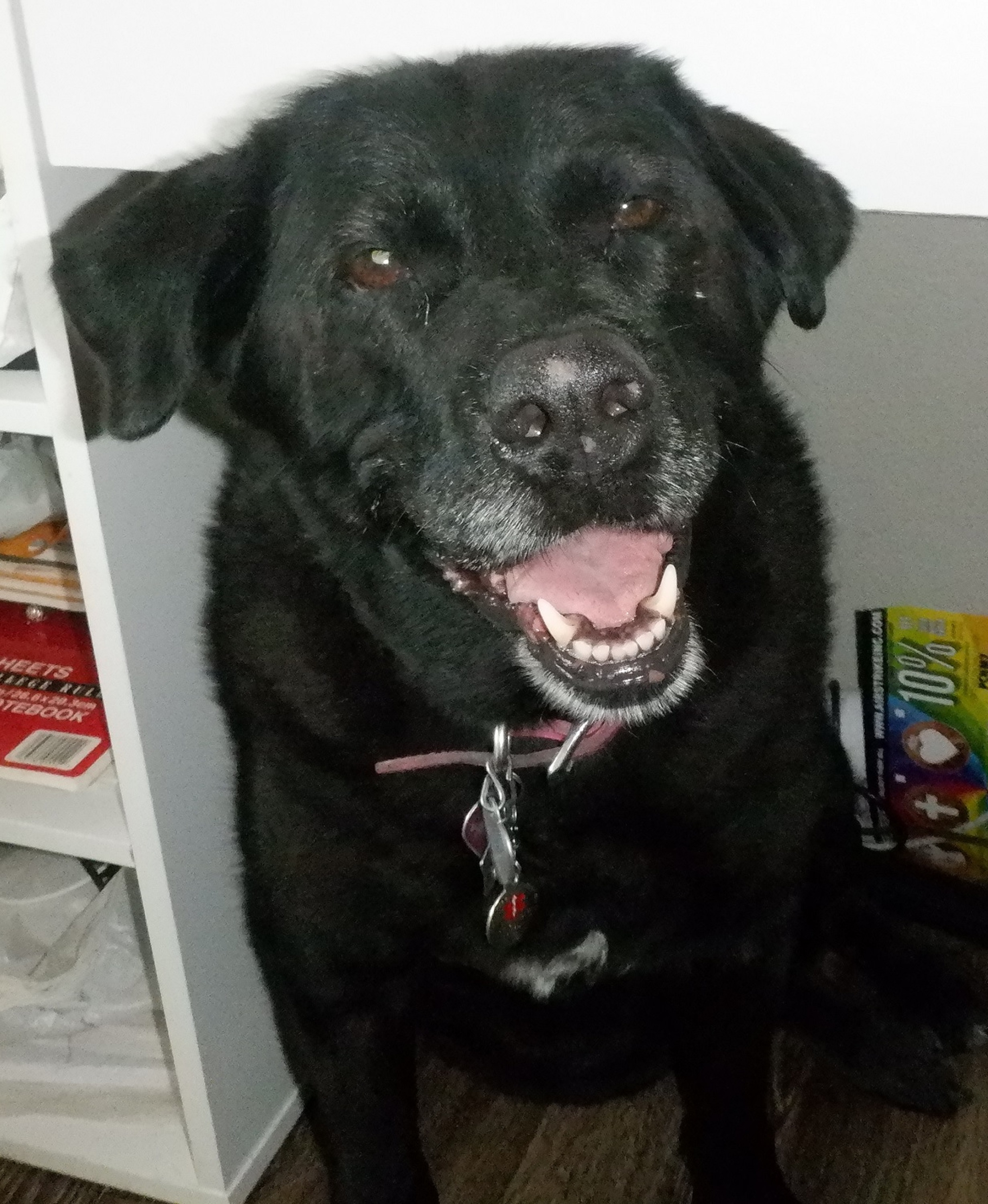 Angel under my desk Angel under my desk