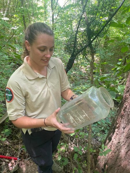 Biologist Janelle Musser saves a cub who had a plastic jar stuck on his head. Biologist Janelle Musser saves a cub who had a plastic jar stuck on his head.