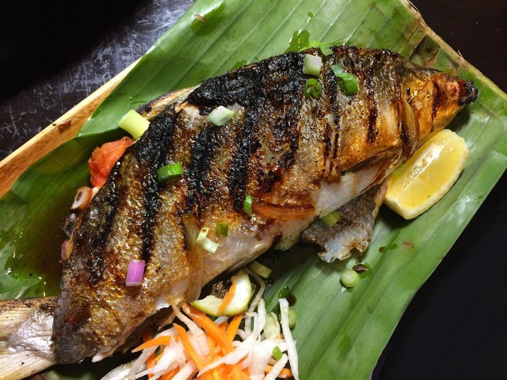 Photo milk fish from google Photo milk fish from google