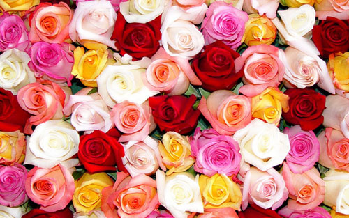 Image: google