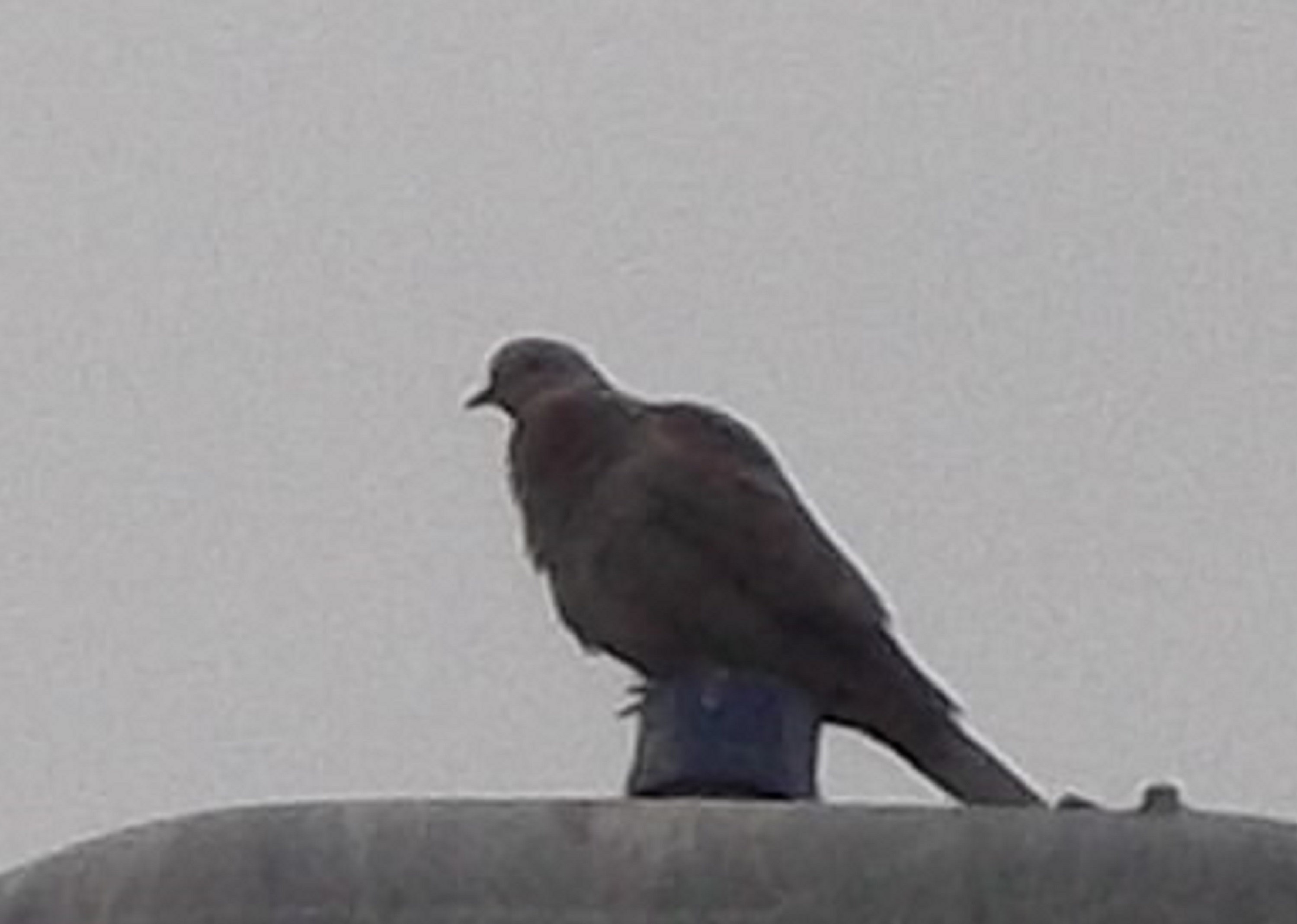 Photo taken by me 2015 Photo taken by me 2015