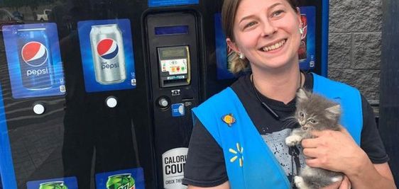 Morristown Wal Mart employee Lindsey with her new kitten that she adopted. Morristown Wal Mart employee Lindsey with her new kitten that she adopted.
