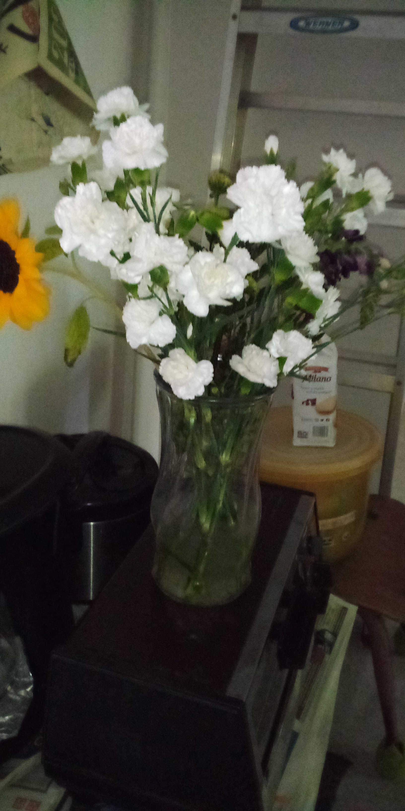 White carnation flowers.