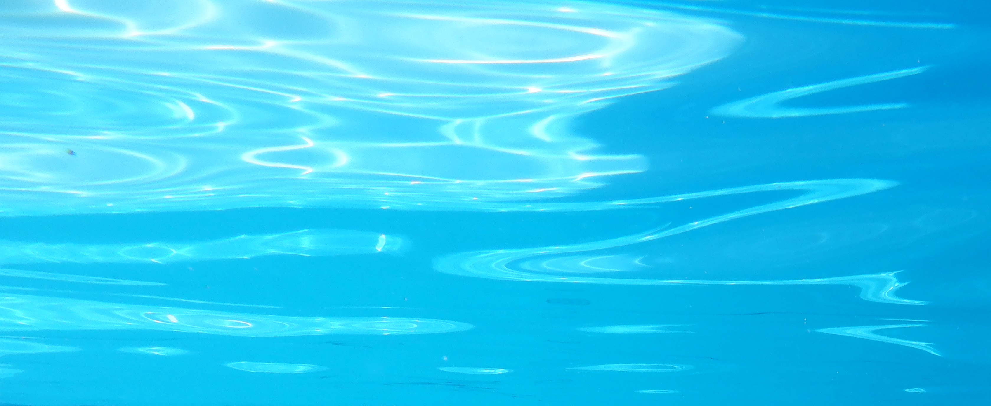 Photo taken by me in the pool last year Photo taken by me in the pool last year