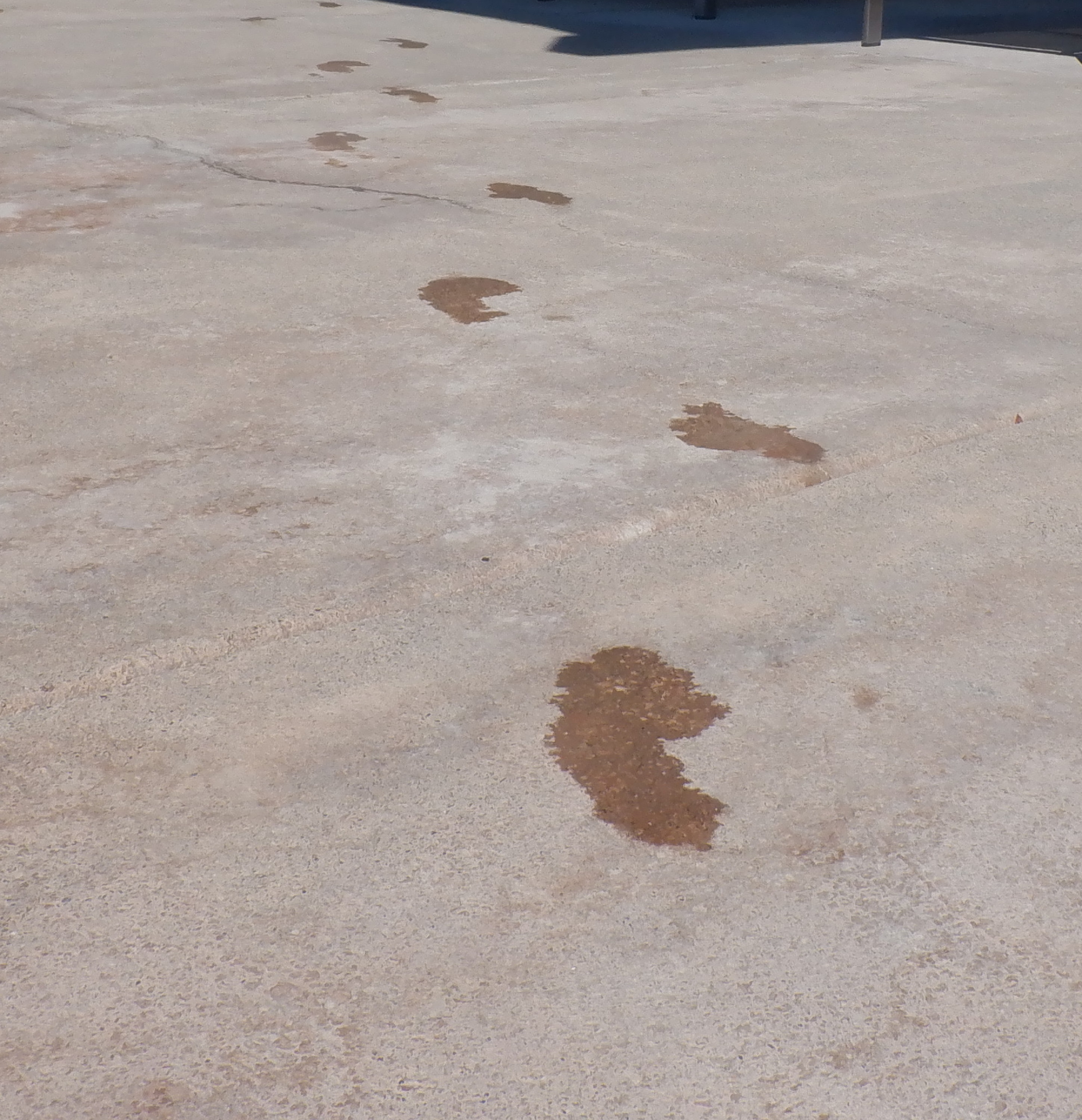 Photo I took of my footprints at the pool Photo I took of my footprints at the pool