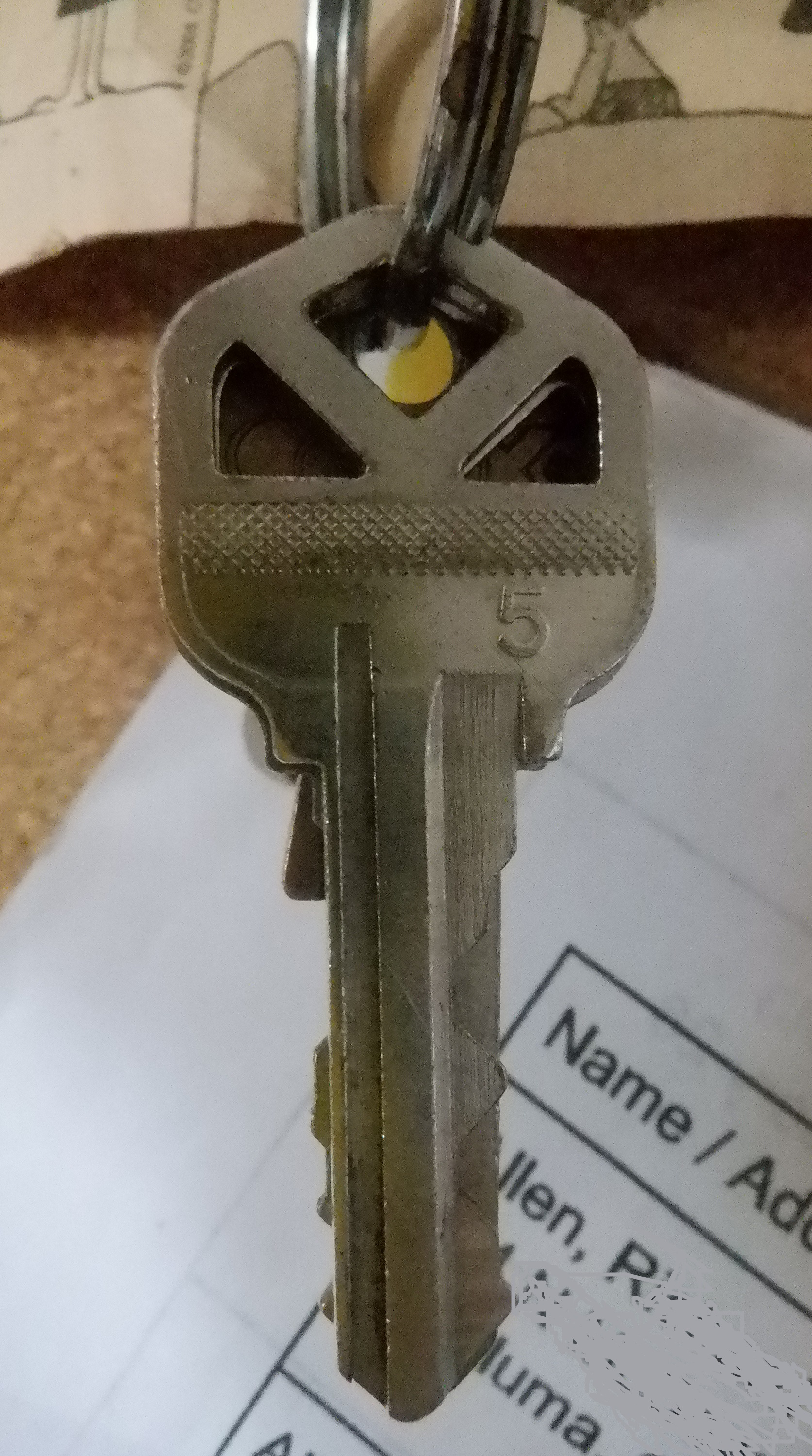 Photo I took of my own set of keys Photo I took of my own set of keys