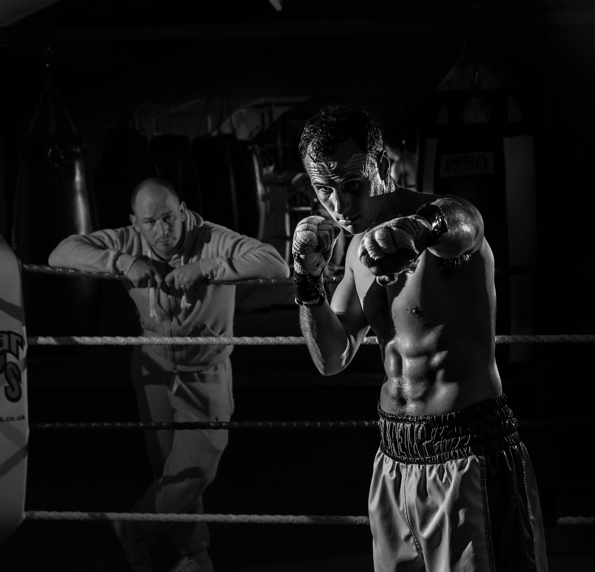 https://pixabay.com/photos/boxing-boxer-fitness-sport-fight-1842466/ https://pixabay.com/photos/boxing-boxer-fitness-sport-fight-1842466/