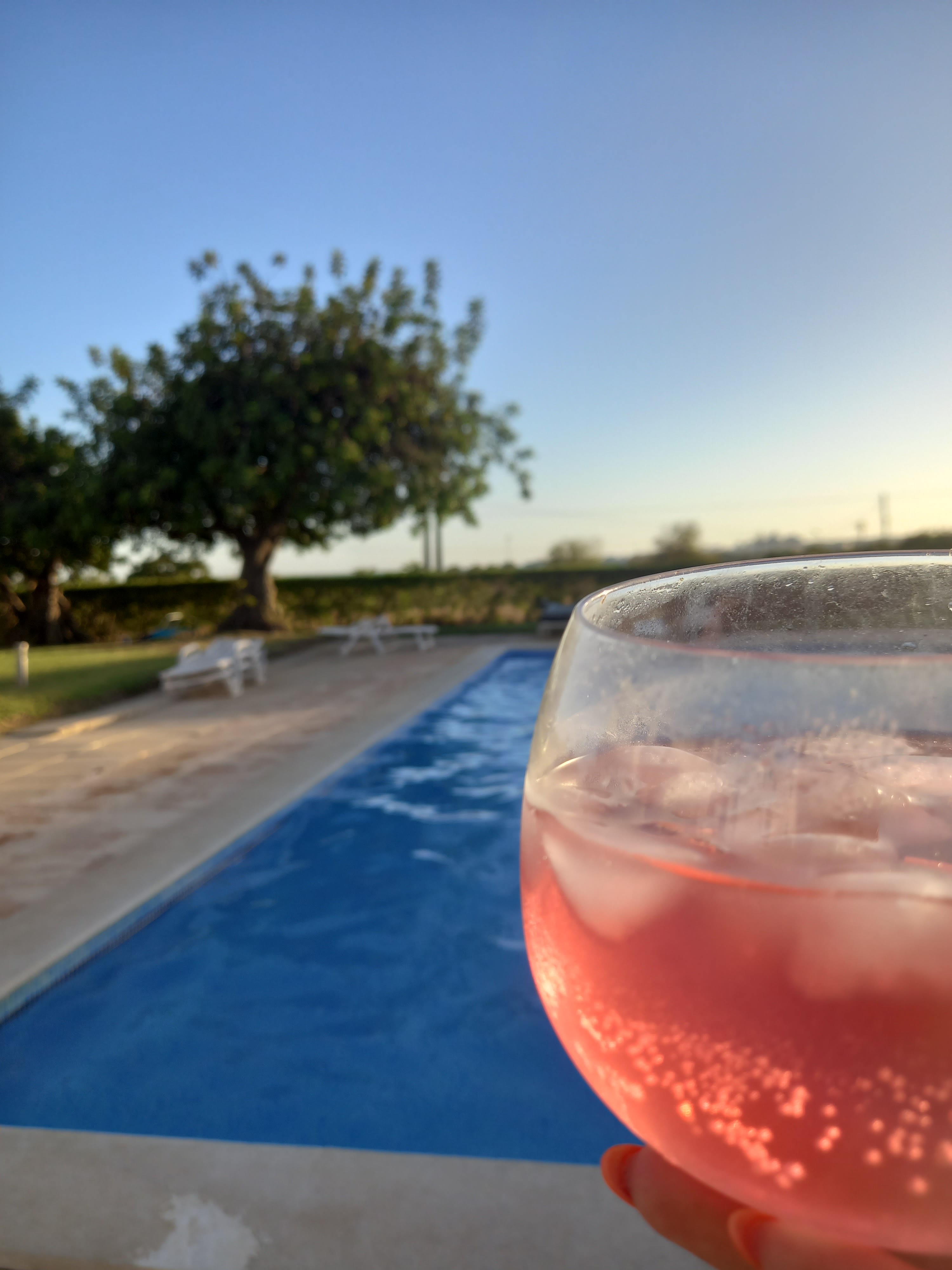 Gin by the pool