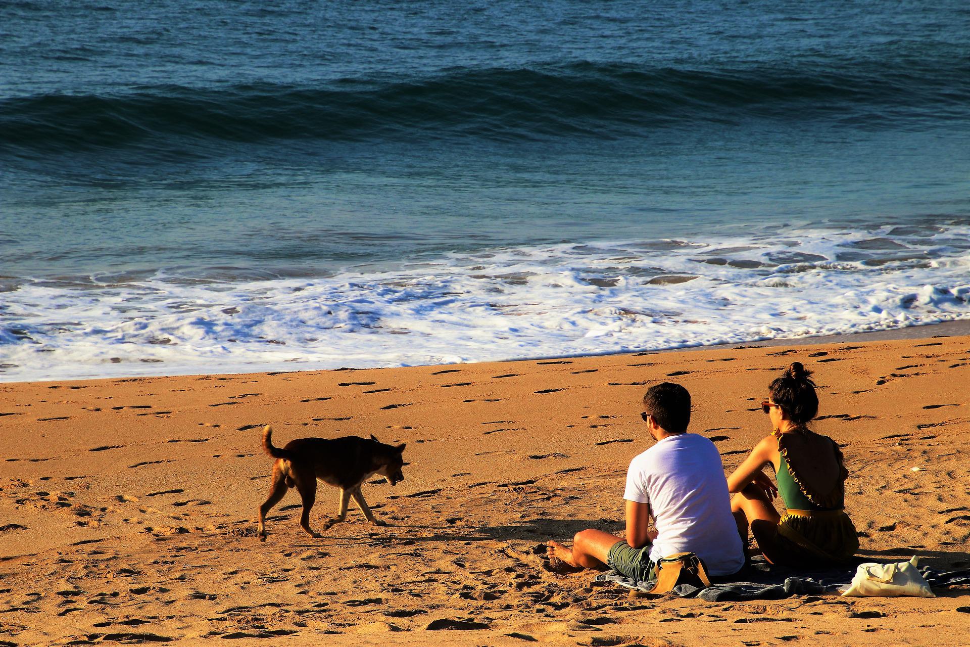 https://pixabay.com/photos/couple-wave-indian-ocean-sri-lanka-3204365/ https://pixabay.com/photos/couple-wave-indian-ocean-sri-lanka-3204365/