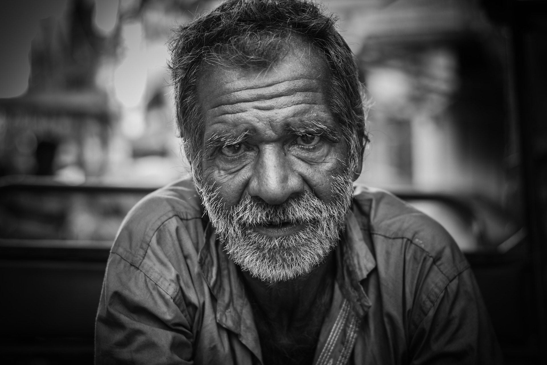 The Zen master gave of his best to his last breath alive The Zen master gave of his best to his last breath alive