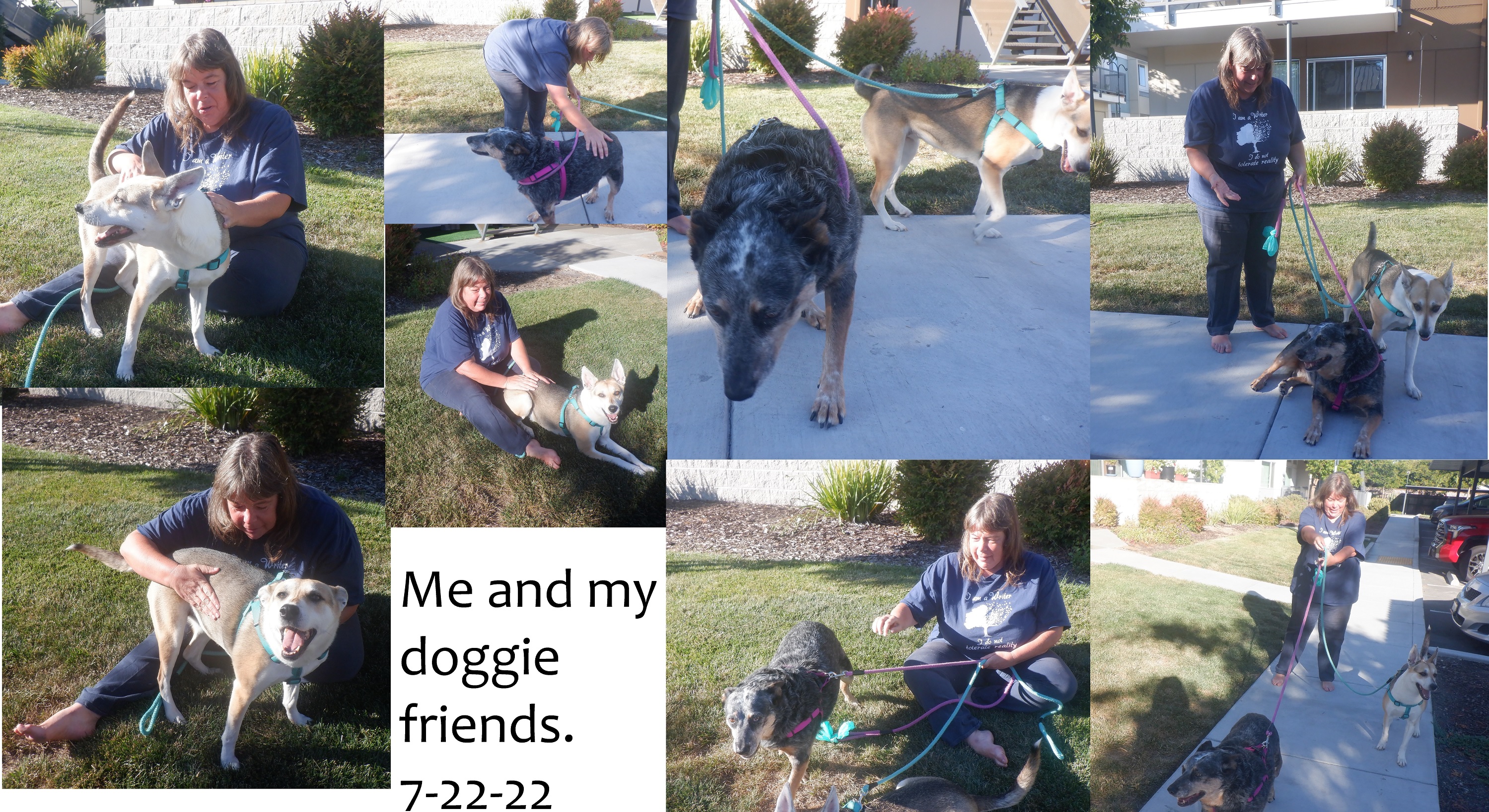Collage I made of most if not all of the photos my neighbor took of me and her dogs Collage I made of most if not all of the photos my neighbor took of me and her dogs
