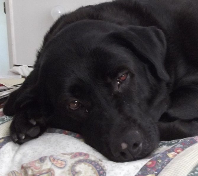 Angel on my bed 7-21-15 Angel on my bed 7-21-15