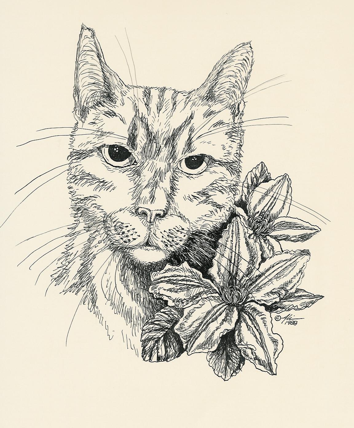My drawing of a tabby cat and clematis flower My drawing of a tabby cat and clematis flower