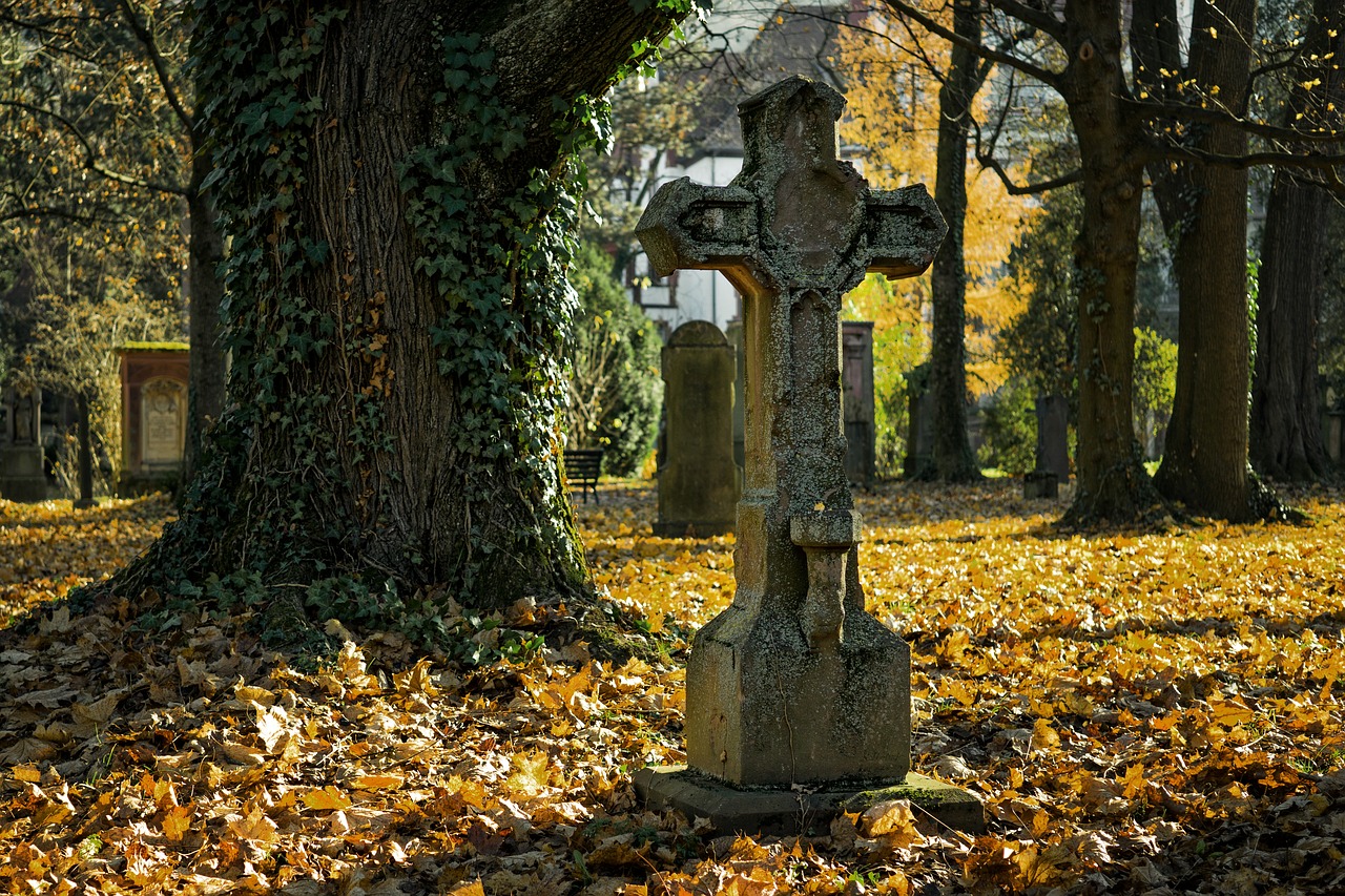 The death of what is dead is the birth of what is living The death of what is dead is the birth of what is living