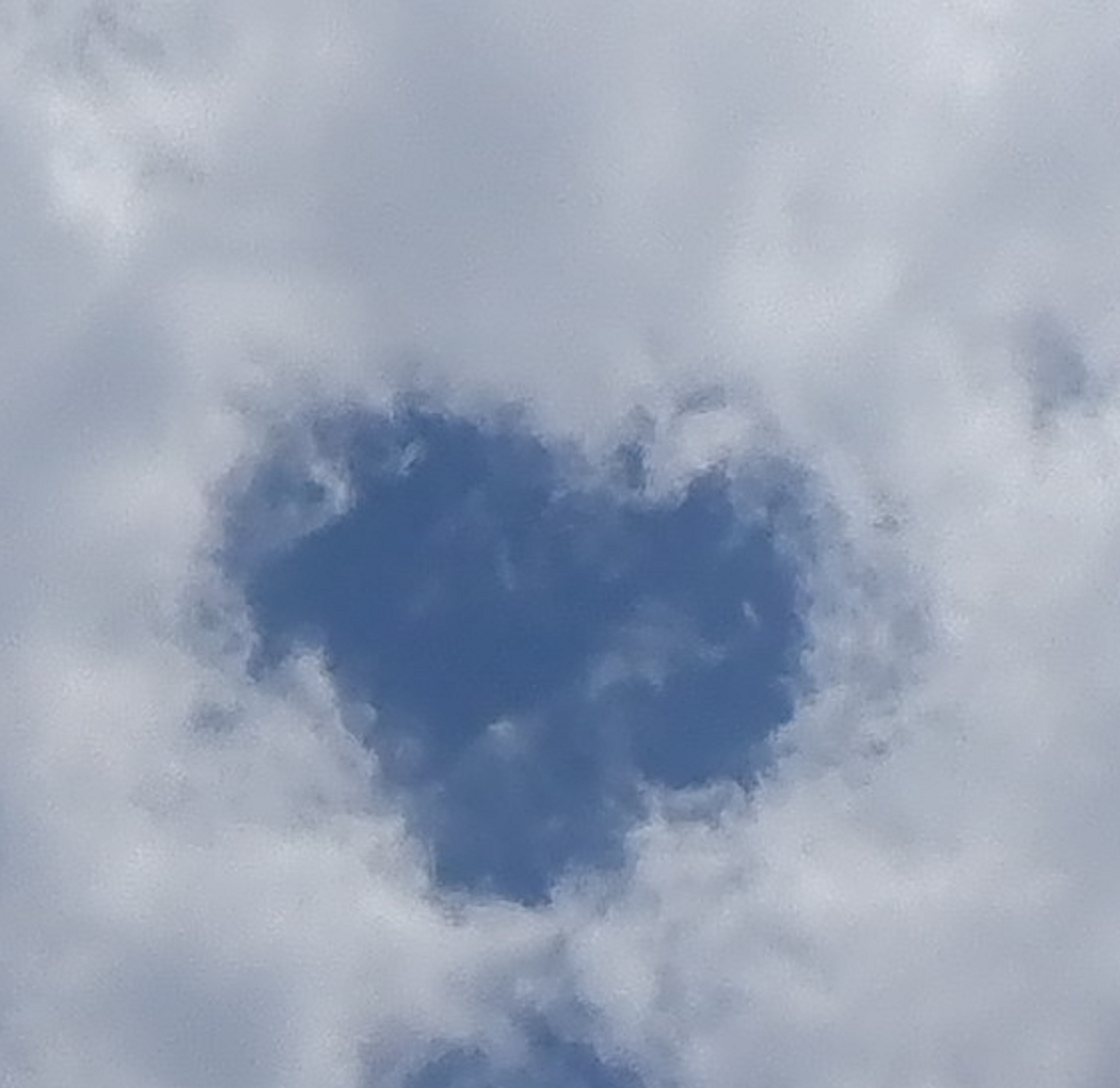 Photo I took with "heart" shape cropped out Photo I took with "heart" shape cropped out