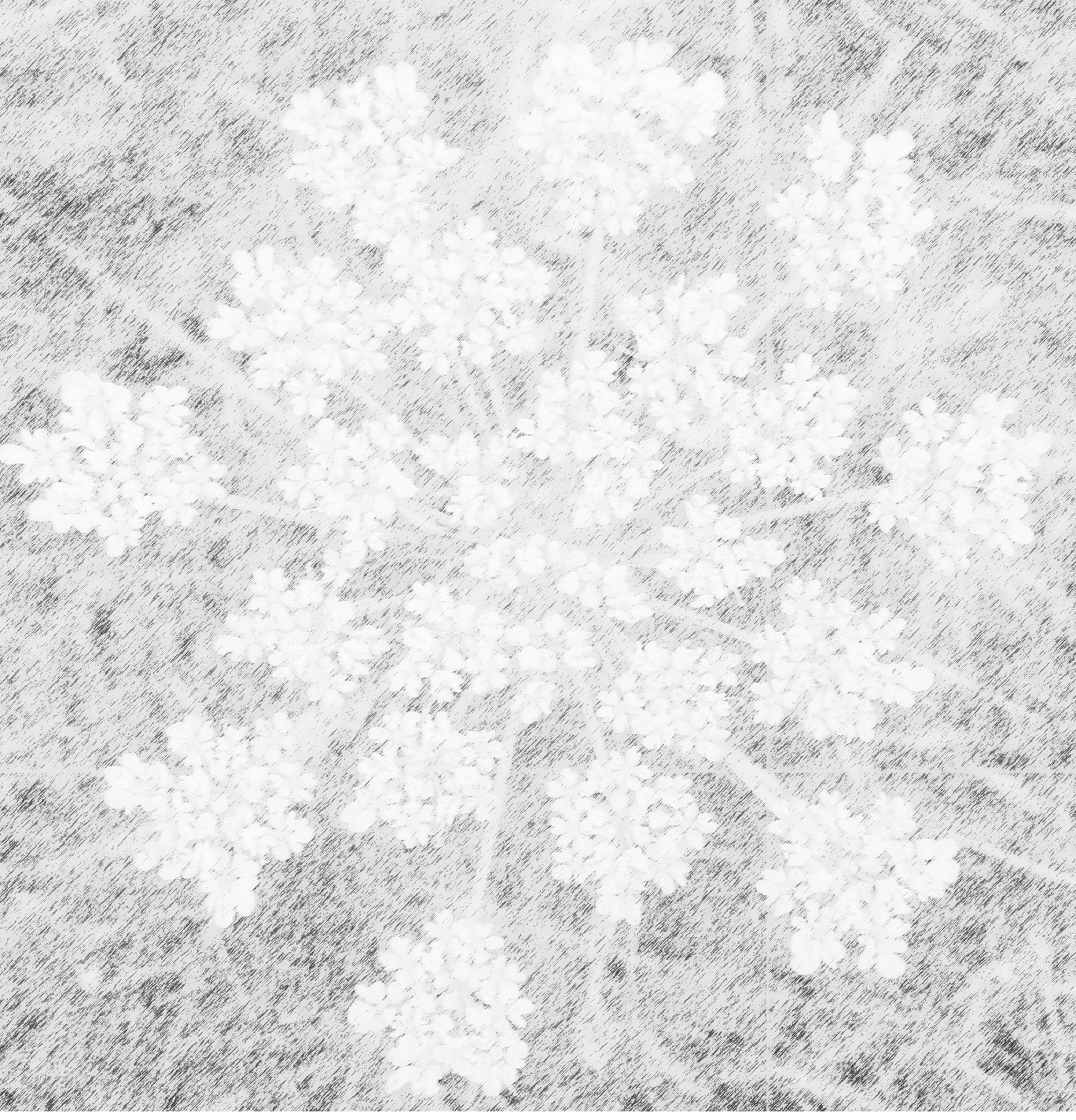 photo taken by me with Pencil sketch effect on LunaPic.com photo taken by me with Pencil sketch effect on LunaPic.com