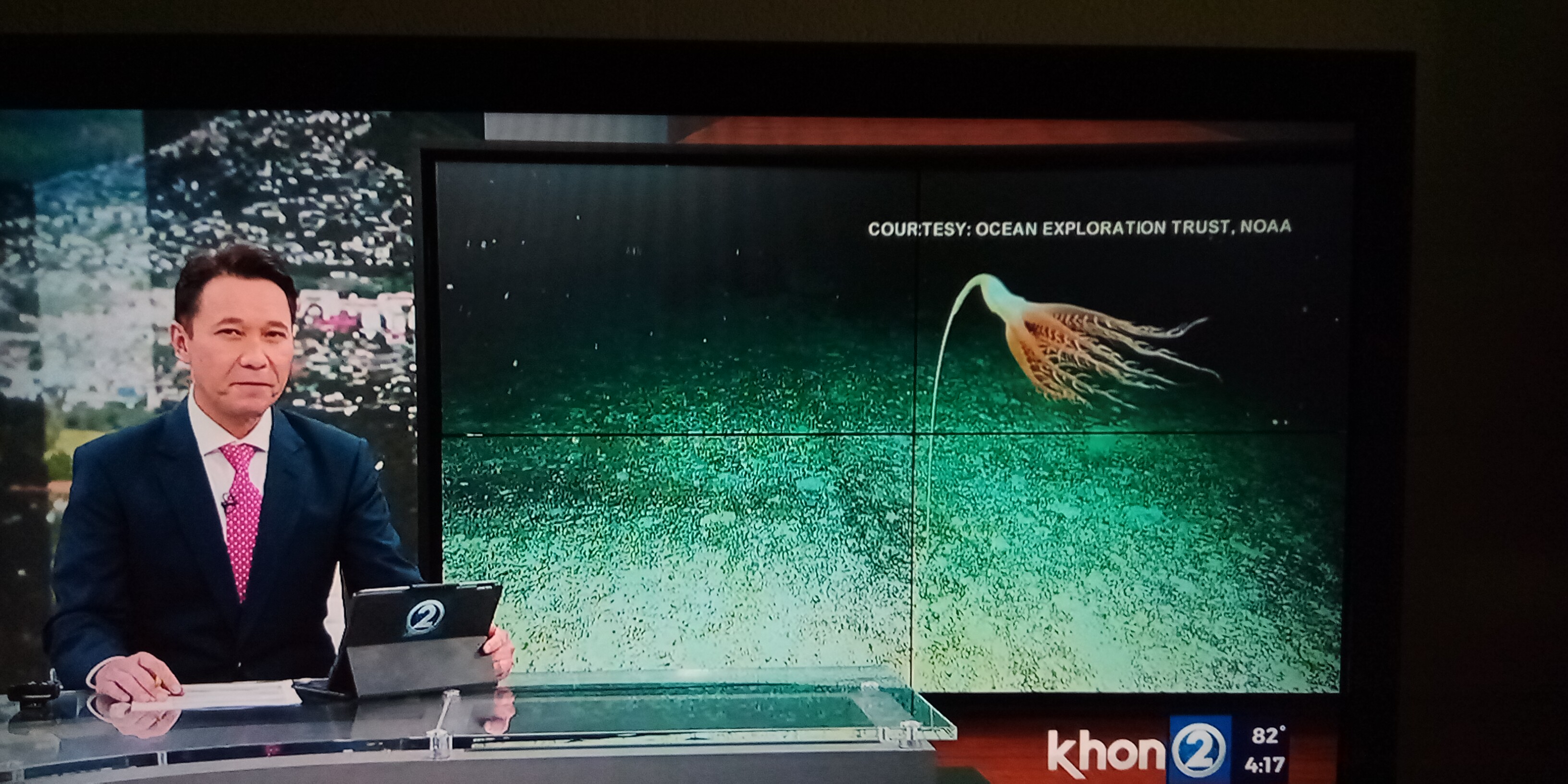 Sea pen from Khon2 news today.