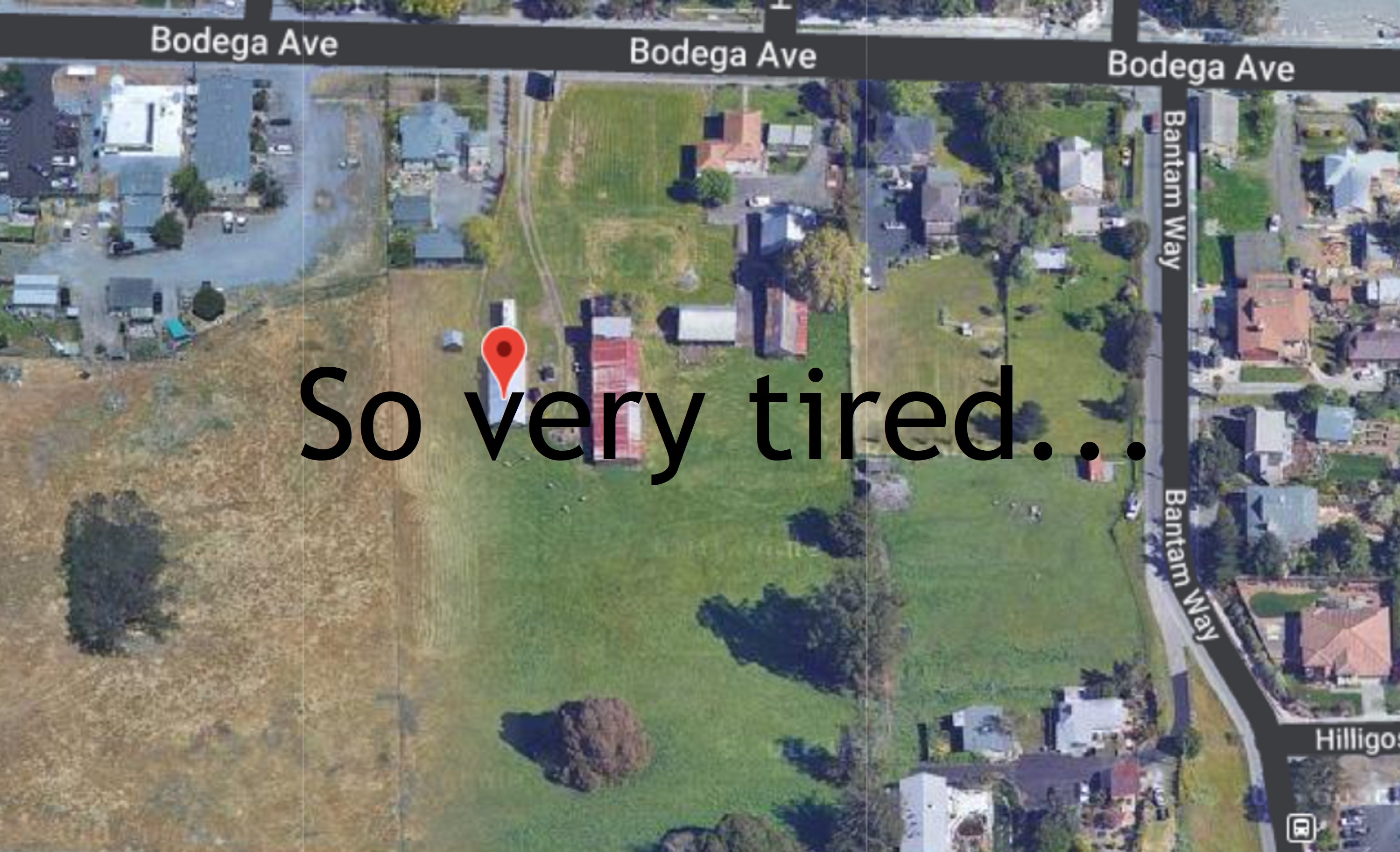 Google satellite screencap with words added on Microsoft Paint