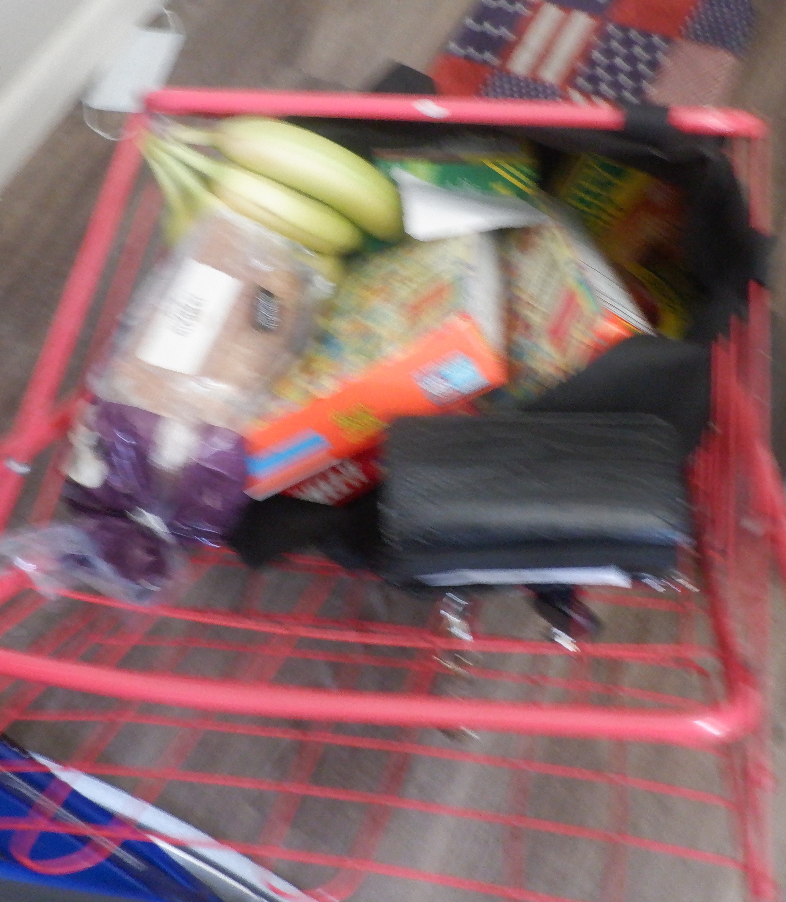 Photo I took of my shopping cart when I came home this morning