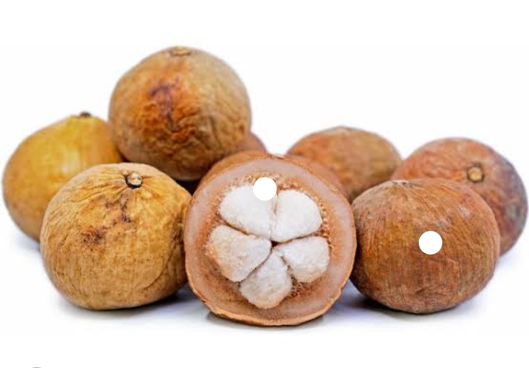 Santol fruit