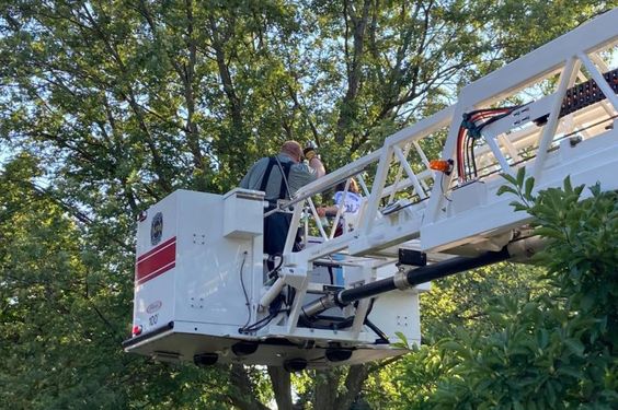 Ludington Firefighters rescue a parrot who was sitting on a tree branch. Ludington Firefighters rescue a parrot who was sitting on a tree branch.