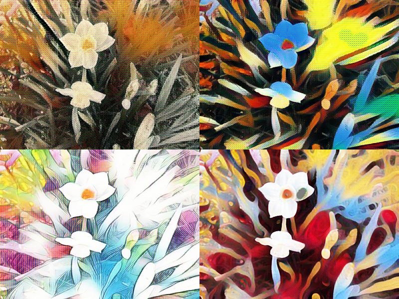 Flower collage with different effects on LunaPic.com
