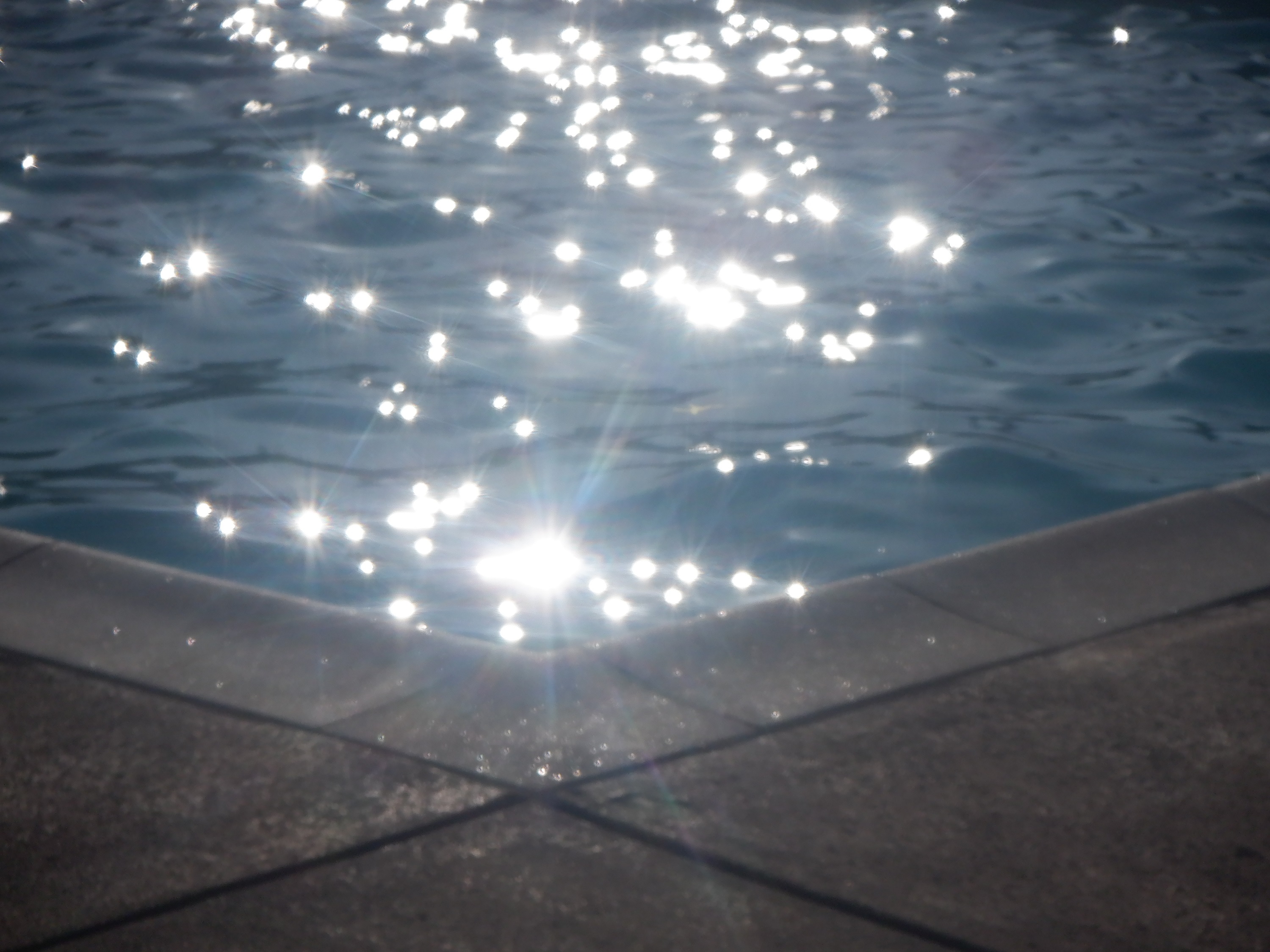 Photo I took today at the pool Photo I took today at the pool