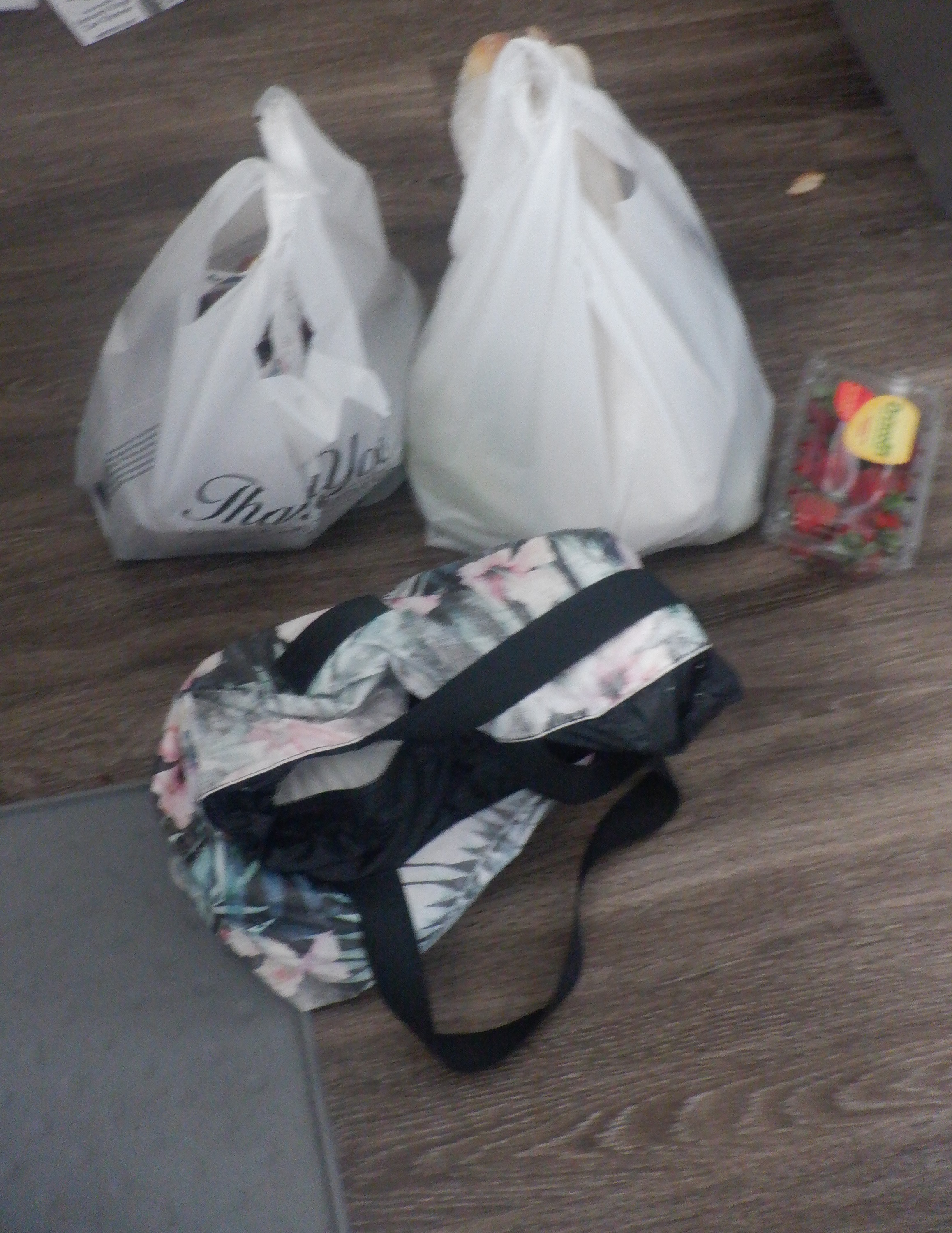 Photo I took of my carry all bag with groceries and other grocery bags. Photo I took of my carry all bag with groceries and other grocery bags.