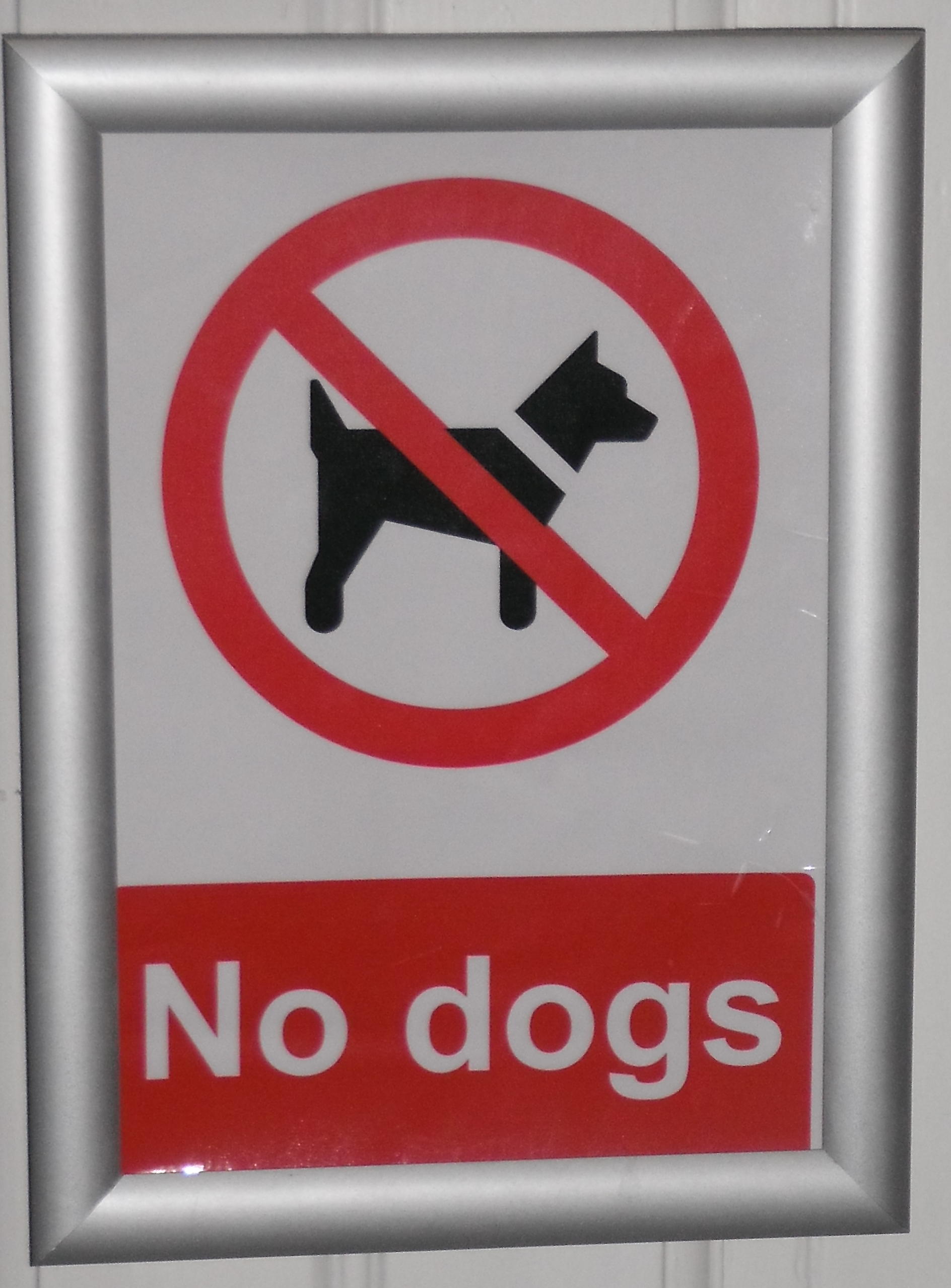 No dogs allowed sign - Davy Jones’s Locker - Morecambe No dogs allowed sign - Davy Jones’s Locker - Morecambe