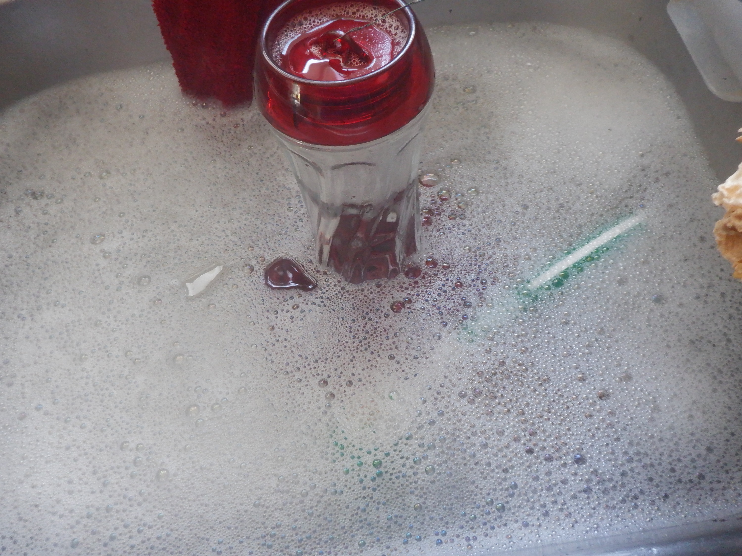 Hummingbird feeder I have soaking Hummingbird feeder I have soaking