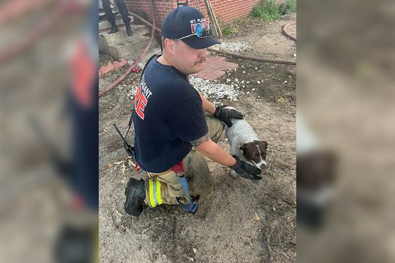 A Mount Pleasant firefighter rescues a dog in a house fire this morning.