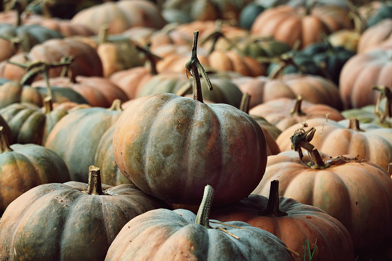 Pumpkins picture from Pixabay