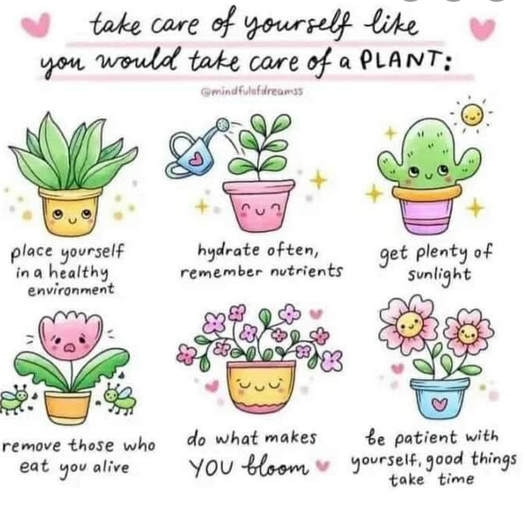 self care meme self care meme